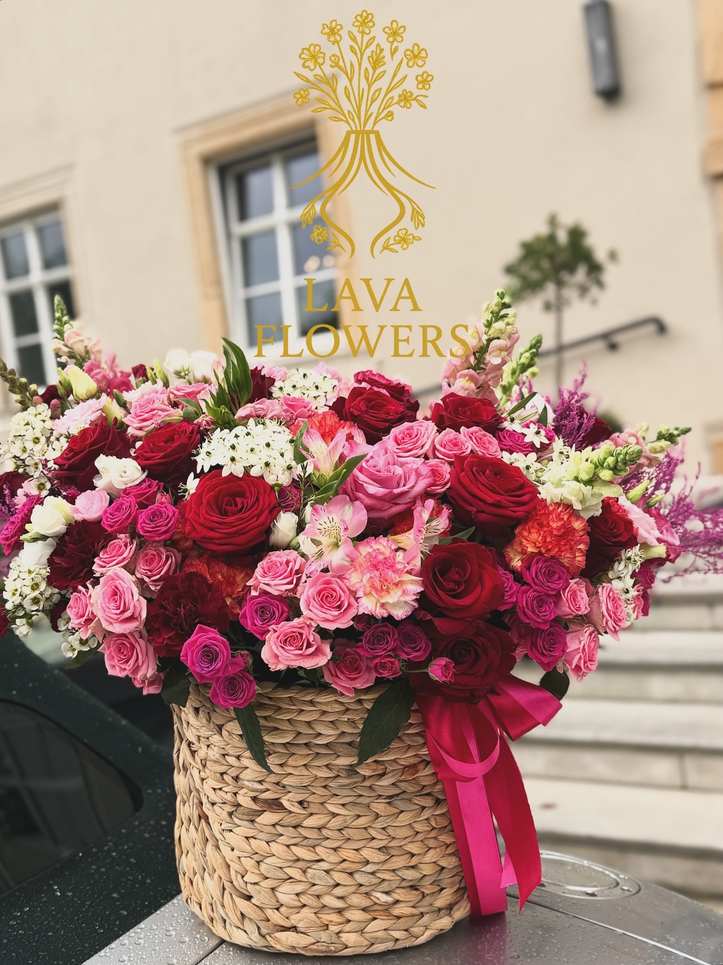 9FE603A1-A0CC-435B-B440-DE2427B97F6A 9FE603A1-A0CC-435B-B440-DE2427B97F6A