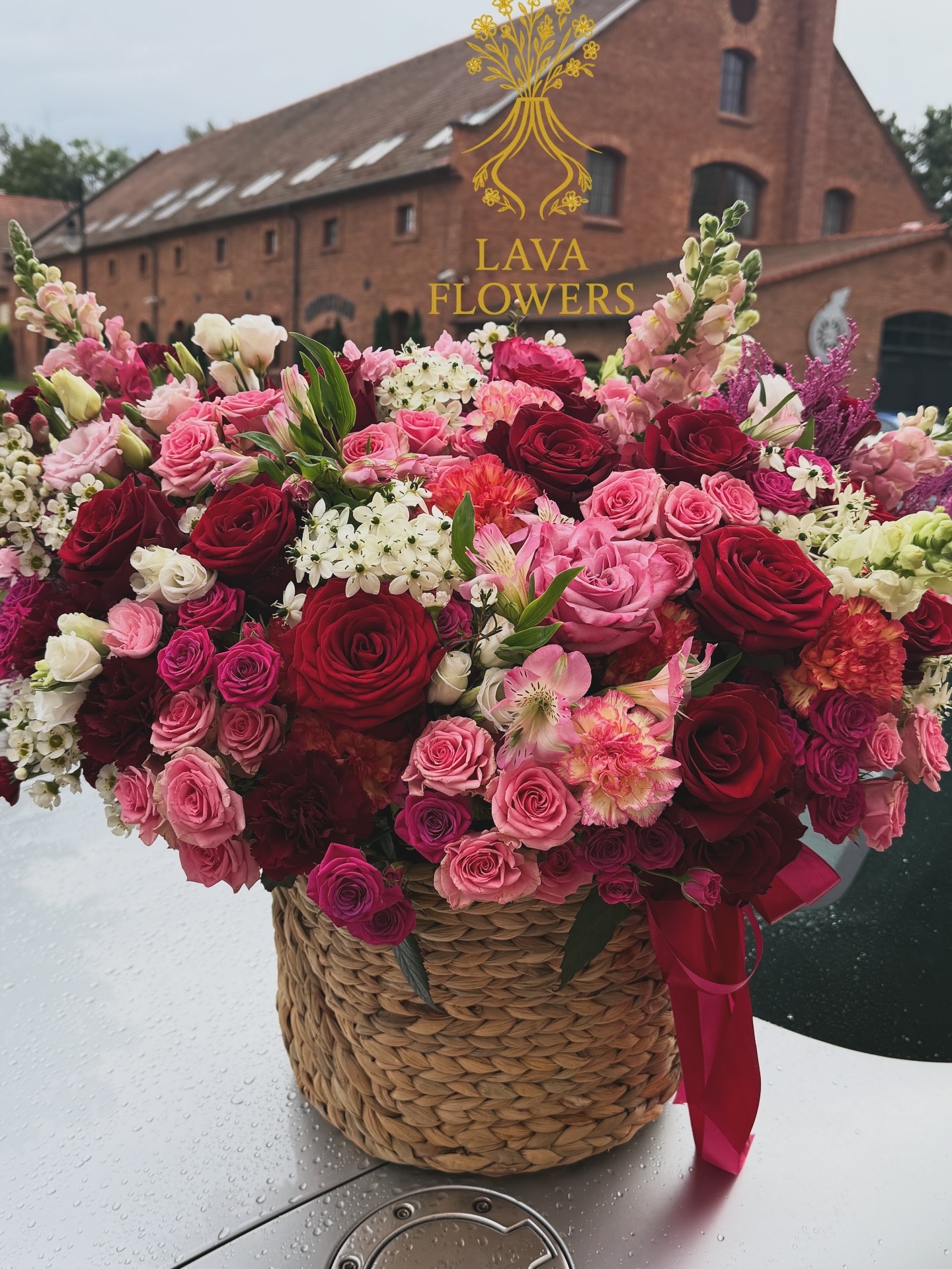 D10495DE-83D4-4521-AFE6-5D6EEED6E0B3 D10495DE-83D4-4521-AFE6-5D6EEED6E0B3